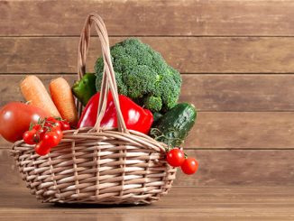 ბიოსაკვები, სკოლა, ბაღი