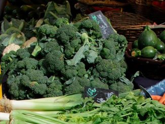 ბროკოლი, ბაზარი, პერქსპექტივა