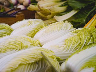 სოფლის, მეურნეობა, ჩინეთი