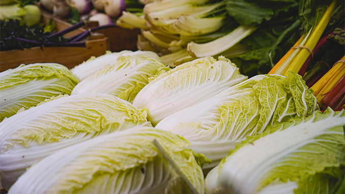 სოფლის, მეურნეობა, ჩინეთი