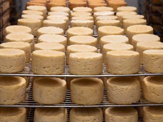 ყველი, ჩინეთი, ევროპა