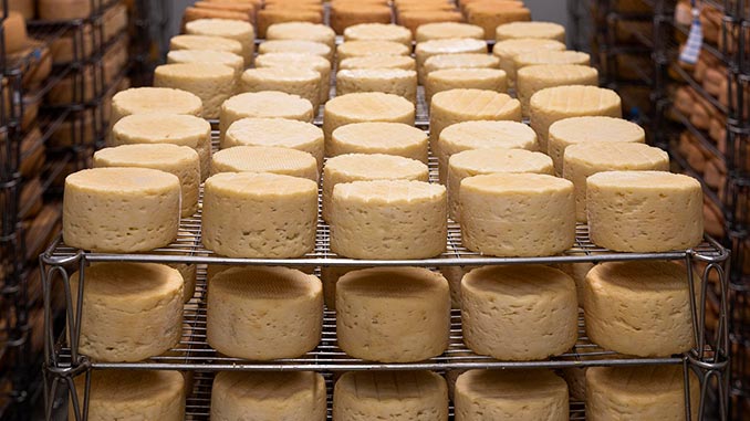 ყველი, ჩინეთი, ევროპა