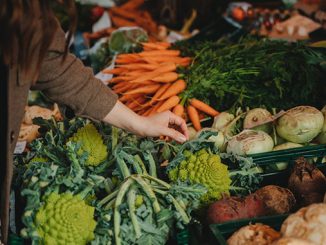 ფერმერული, ბაზრები, პერსპექტივა