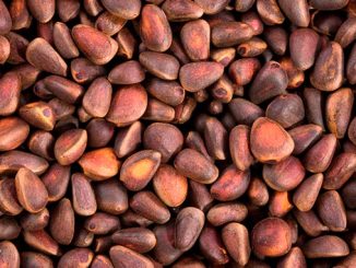 ფიჭვის, კაკალი, დელიკატესი