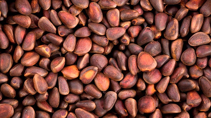 ფიჭვის, კაკალი, დელიკატესი