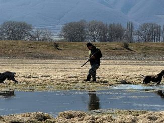 ფრინველებზე, ნადირობის, სეზონი