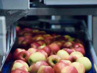 გადამამუშავებელი, საწარმოები