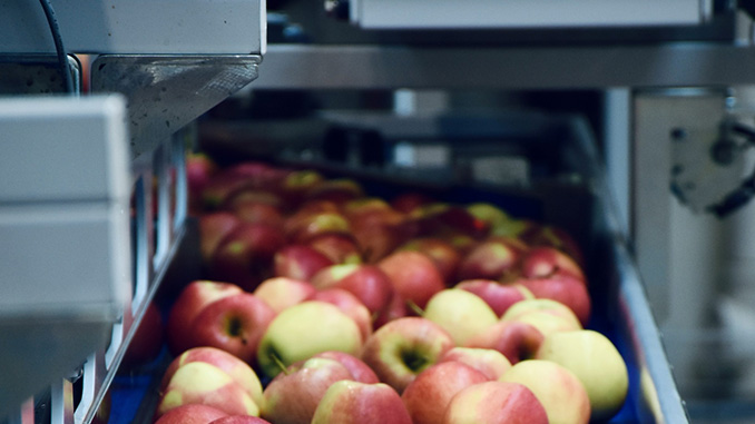 გადამამუშავებელი, საწარმოები