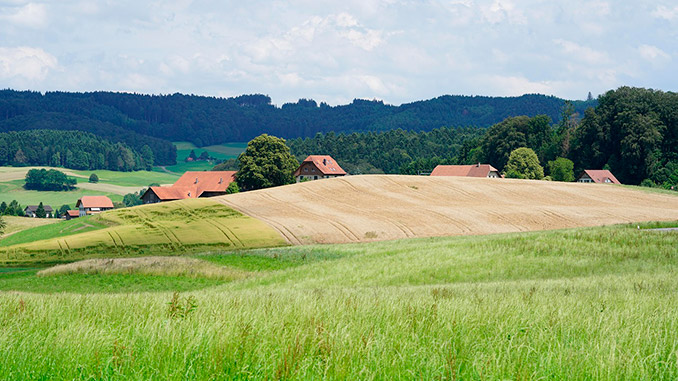 კონსერვაციული, სოფლის, მეურნეობა