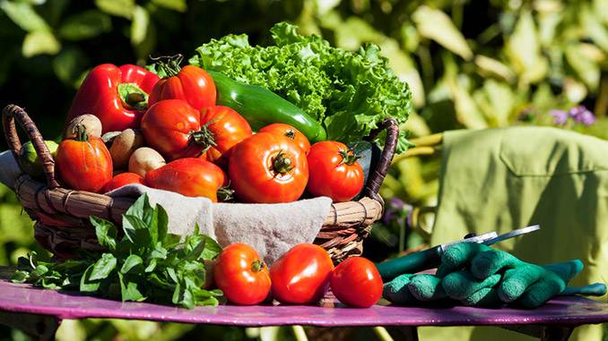 კულტურათა, მონაცვლეობა, ბიომეურნეობა