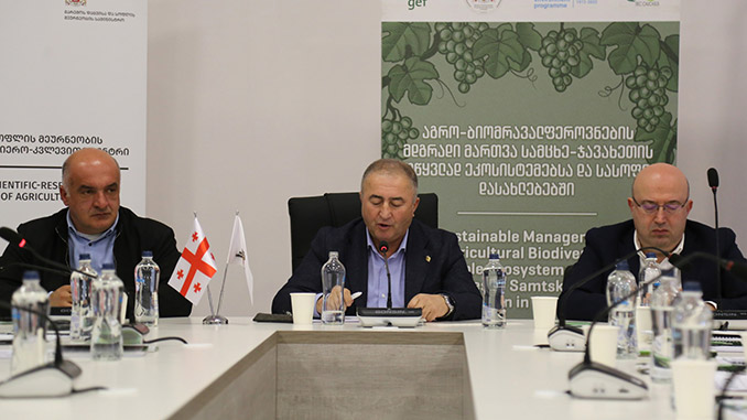 მესხური, ვაზი, ღვინო