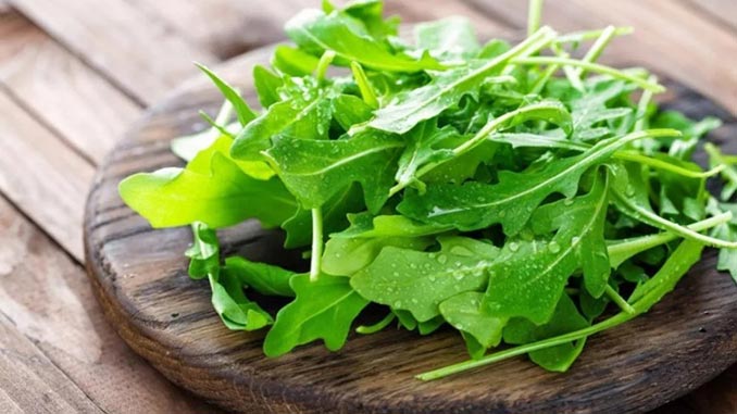 რუკოლა, სასარგებლო, მცენარე