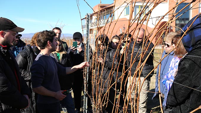 საპატრიარქო, კოლეჯი, ჯიღაურა