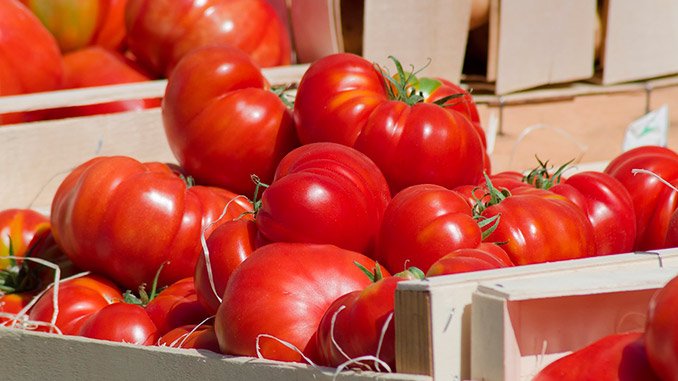 სათბურები, თურქეთი