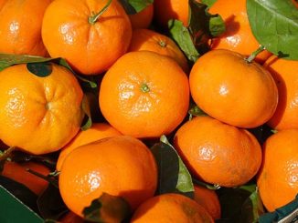 უზბეკეთი, მანდარინი, ანანასი