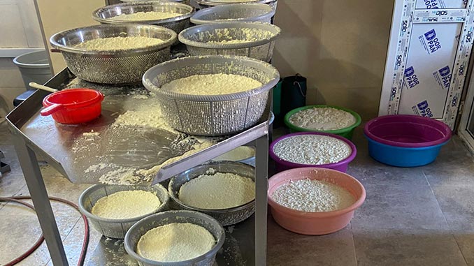 ყველის, საწარმო