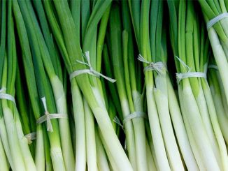 ადრეული, შემოსავლის, მოდელი