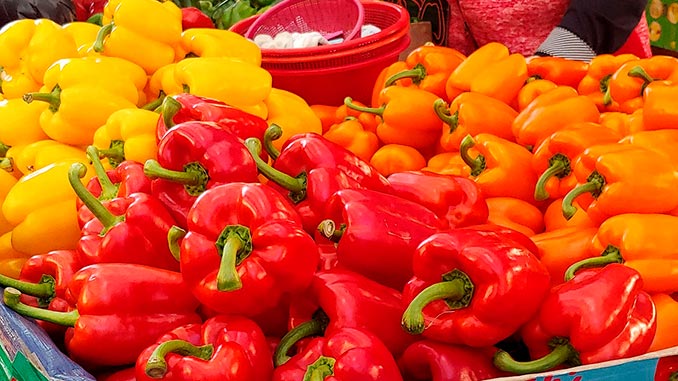 ბოსტნეულის, კრიზისი, ესპანეთი