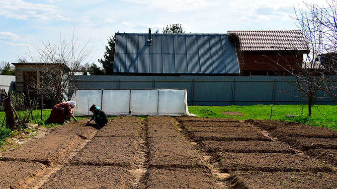 ბოსტნის, ნიადაგი, გაზაფხულზე