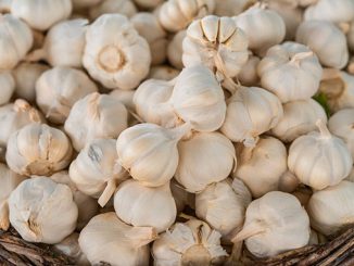 ევროპის, ნივრის, ბაზარზე