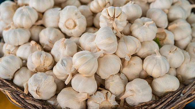 ევროპის, ნივრის, ბაზარზე