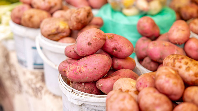 ევროპის, კარტოფილის, ბაზარი