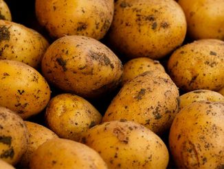 ევროპა, კარტოფილი, ჭარბწარმოება