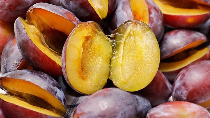 ფერმერები, აგროპლატფორმები