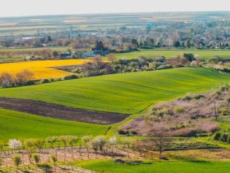 გაზაფხული, ფერმერი