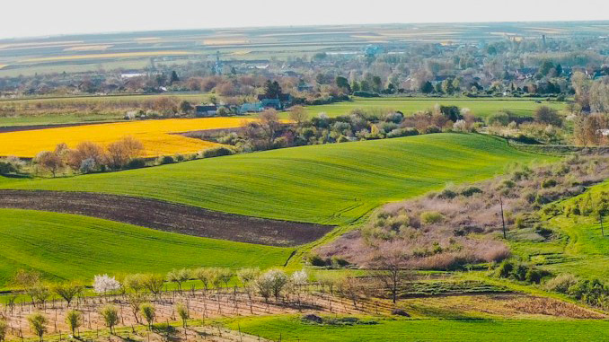გაზაფხული, ფერმერი