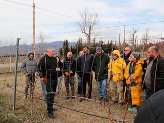 ჯიღაურას, ბაზაზე, სემინარი