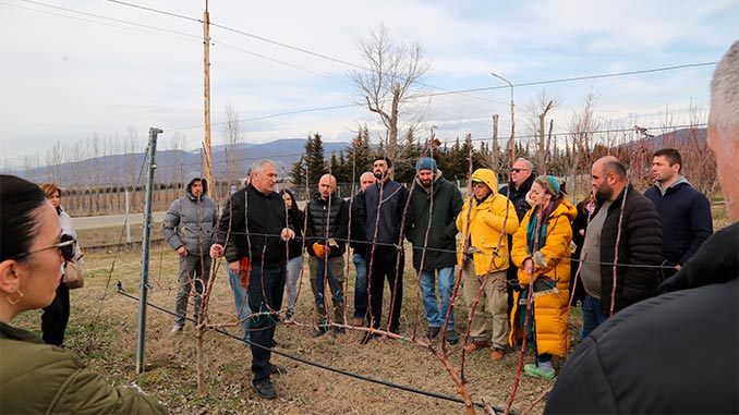 ჯიღაურას, ბაზაზე, სემინარი