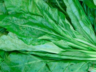 ისპანახი, ორგანული, წარმოება