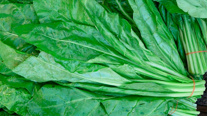 ისპანახი, ორგანული, წარმოება