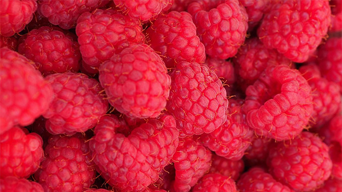 ჟოლო, მსოფლიო, წარმოება