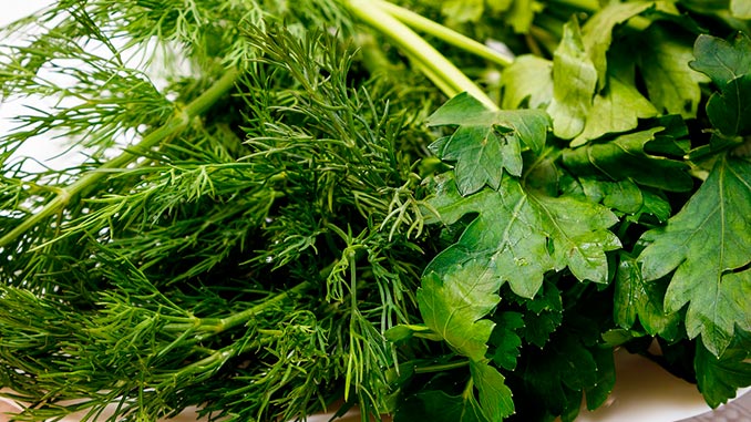 კამა, ორგანული, წარმოება