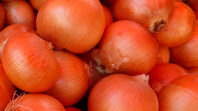 ხახვის, ექსპორტი, იზრდება