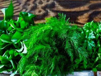 მწვანილის, ექსპორტი, საქართველო