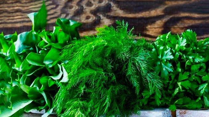 მწვანილის, ექსპორტი, საქართველო