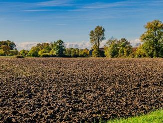 ნიადაგის, დეგრადაცია, გაზაფხულზე