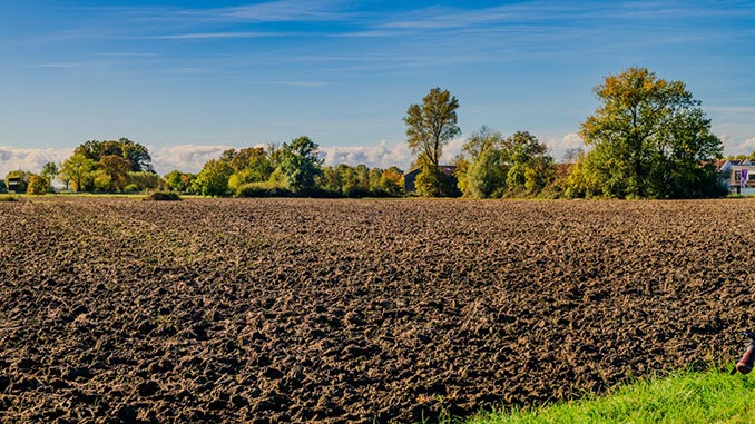 ნიადაგის, დეგრადაცია, გაზაფხულზე