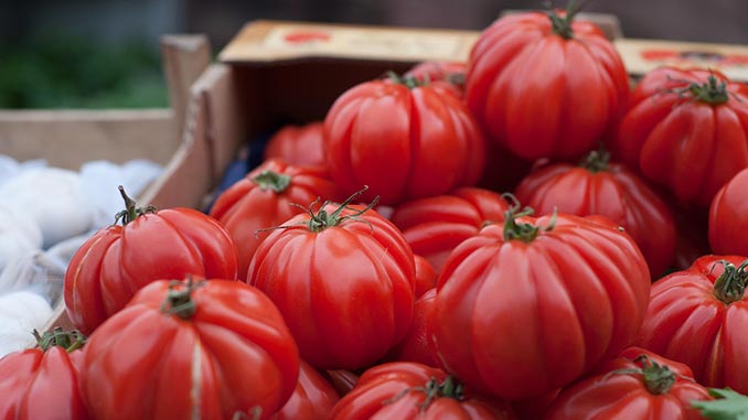 პომიდვრის, გენეტიკური, ბანკი, ევროკავშირი