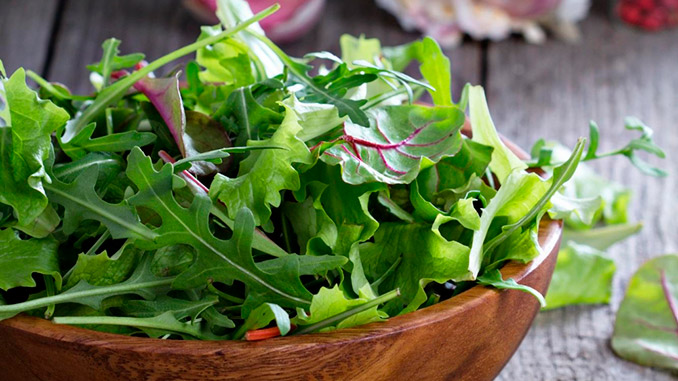 რუკოლა, ბიოწარმოება