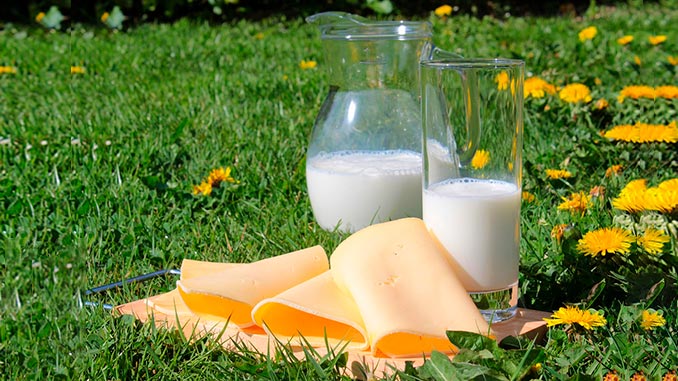 რძის, გლობალური, ბაზარი