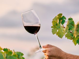 მევენახეობა, მეღვინეობა, საფრანგეთი