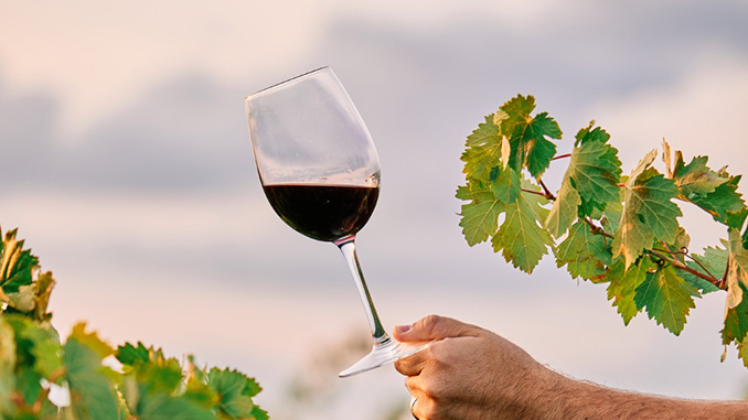 მევენახეობა, მეღვინეობა, საფრანგეთი