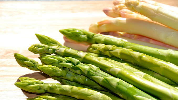 სატაცურის, სეზონი