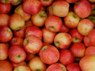 ვაშლის, მწარმოებლები