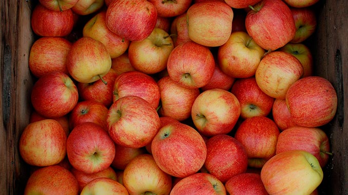 ვაშლის, მწარმოებლები