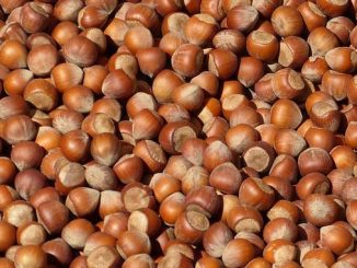 თხილი, ექსპორტი, საქართველო